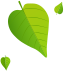 Emmia